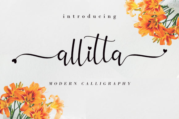 Allitta: A Designer’s Honest Review
