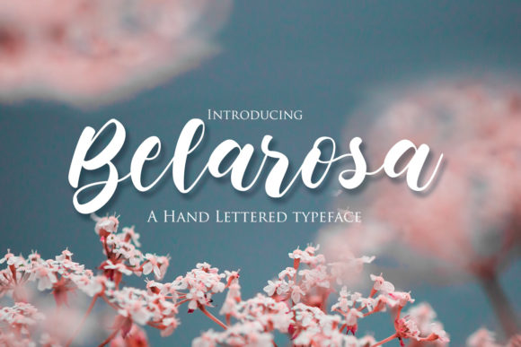Belarosa: A Chic Script Font for Crafters
