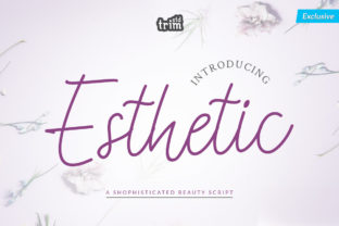 Esthetic Font: Elevate Your Brand with Handwritten Style