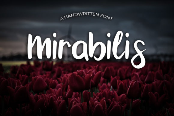 Mirabilis: A Romantic Script Font for Campaigns