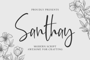 Santhay: A Designer’s Honest Review for Branding